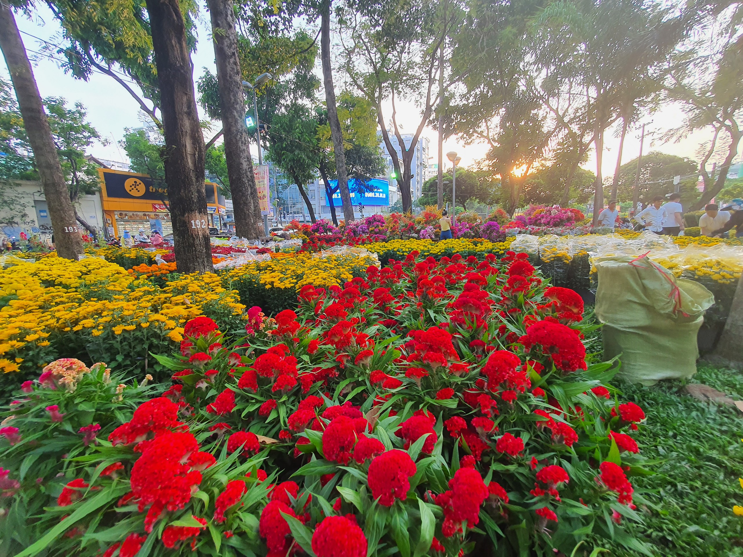 Hội chợ hoa xuân Tết Kon Tum năm Mậu Tuất
