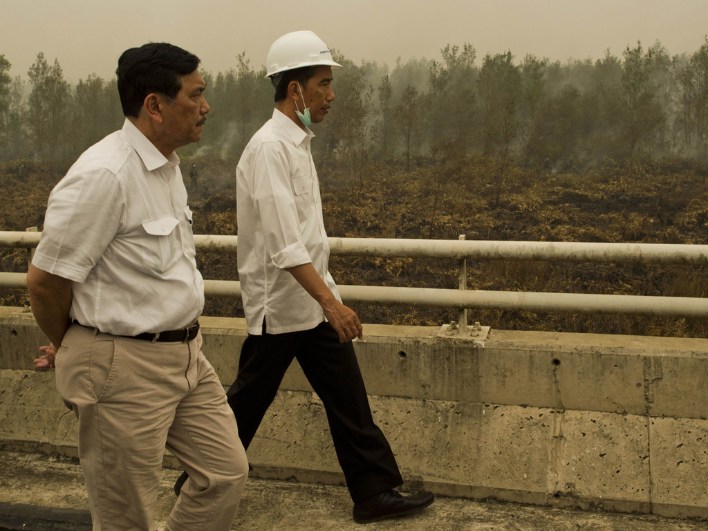 Tổng thống Indonesia Joko Widodo (phải) thị sát công tác dập lửa tại một khu rừng bị đốt trên đảo Borneo - Ảnh: AFP