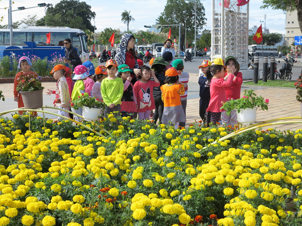 Hoa xuân tràn ngập đường phố Đà Nẵng