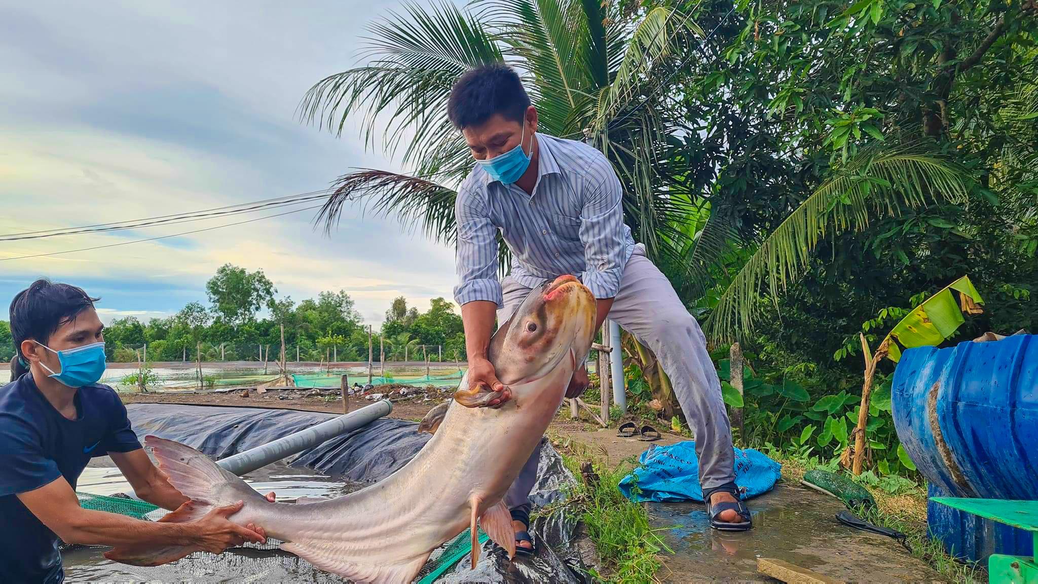 Chàng trai nuôi cá rồng  Báo Đồng Nai điện tử