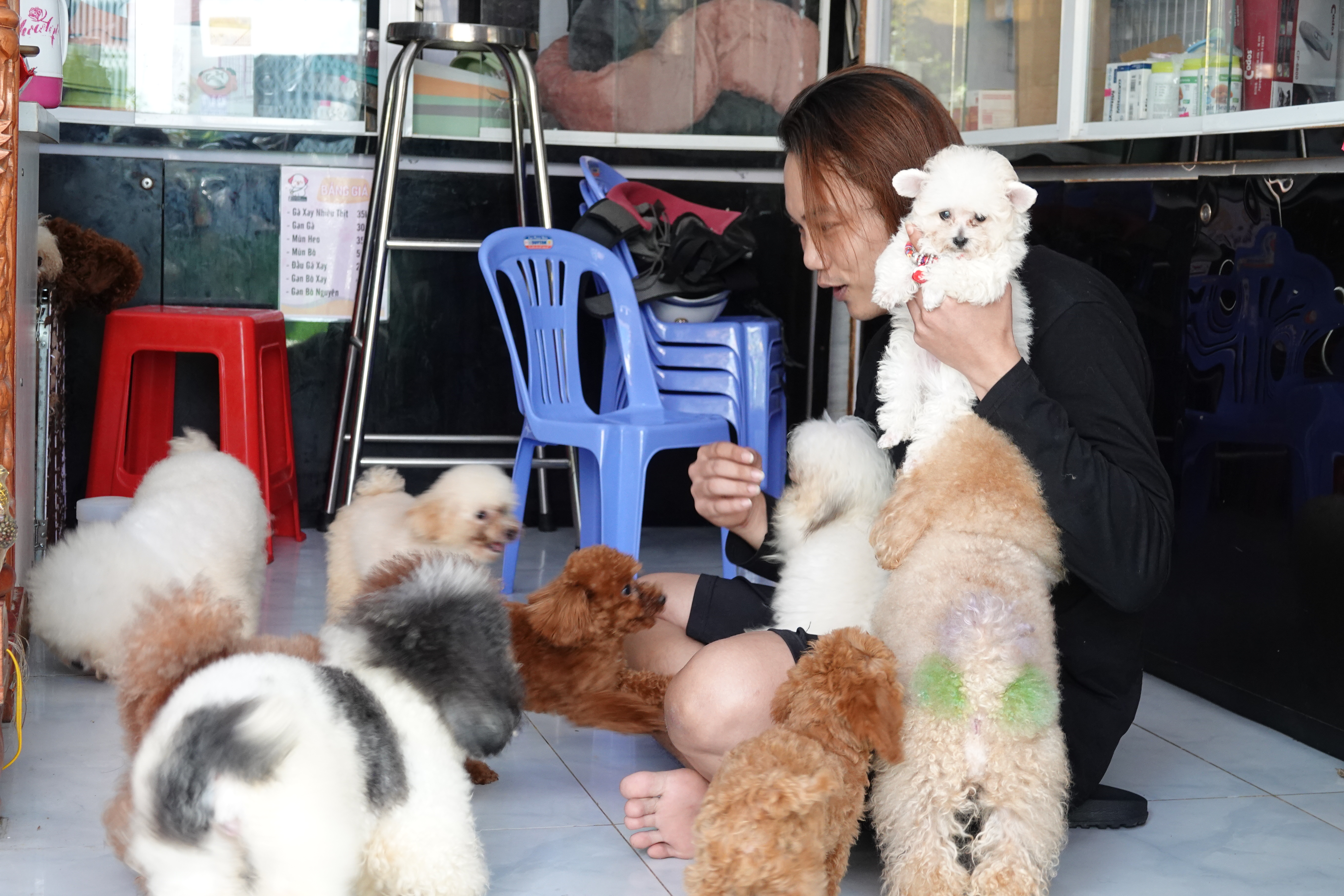 Tìm hiểu về mô hình nuôi chó cảnh để làm giàu tại Việt Nam