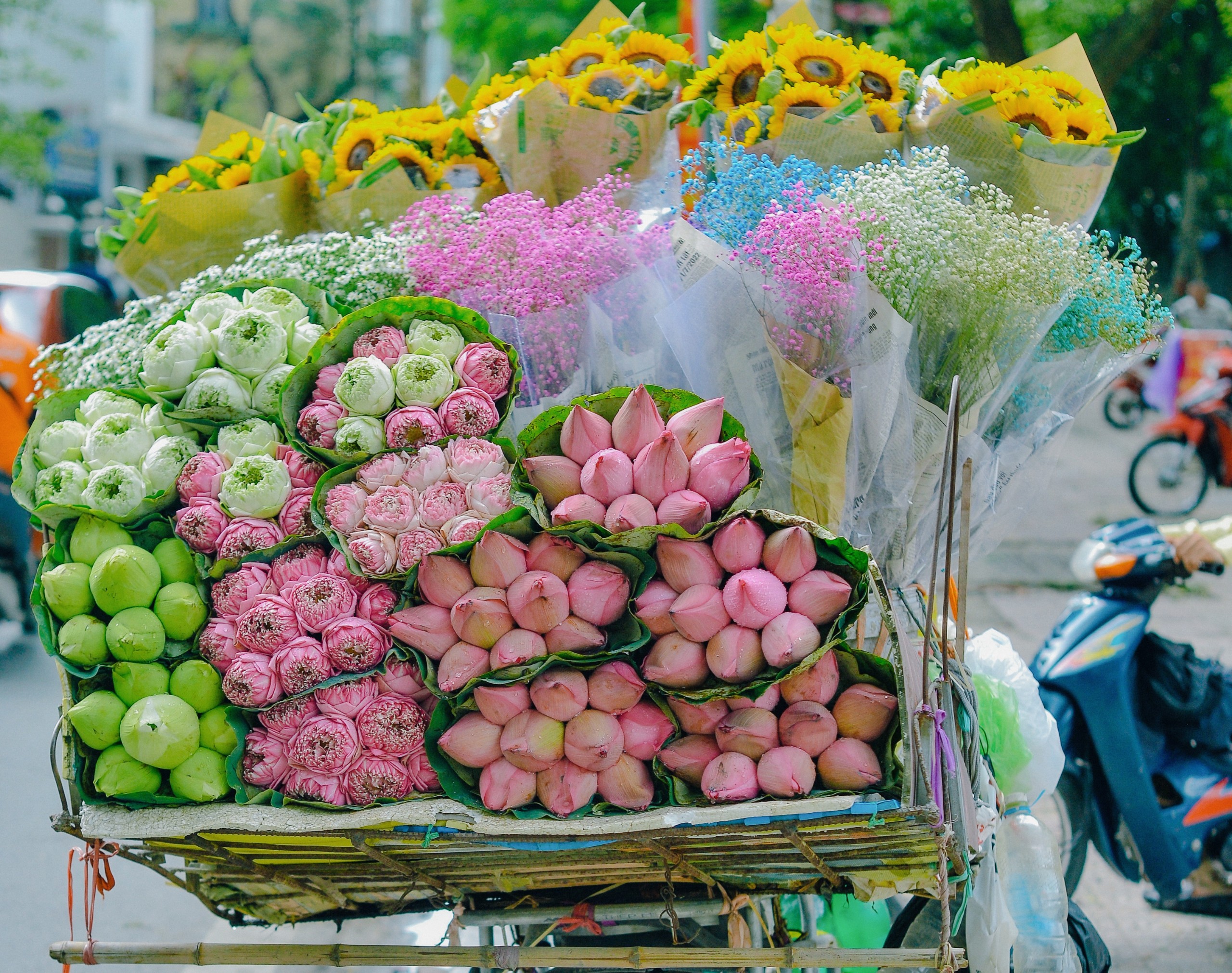 Xe hàng hoa Hà Nội là một trong những hình ảnh đẹp nhất của thủ đô, mang lại nhiều cảm xúc cho cả người dân và khách du lịch. Hình ảnh này sẽ giúp bạn cảm nhận được vẻ đẹp độc đáo của xe hàng hoa Hà Nội với những loại hoa đa dạng và thanh tao.