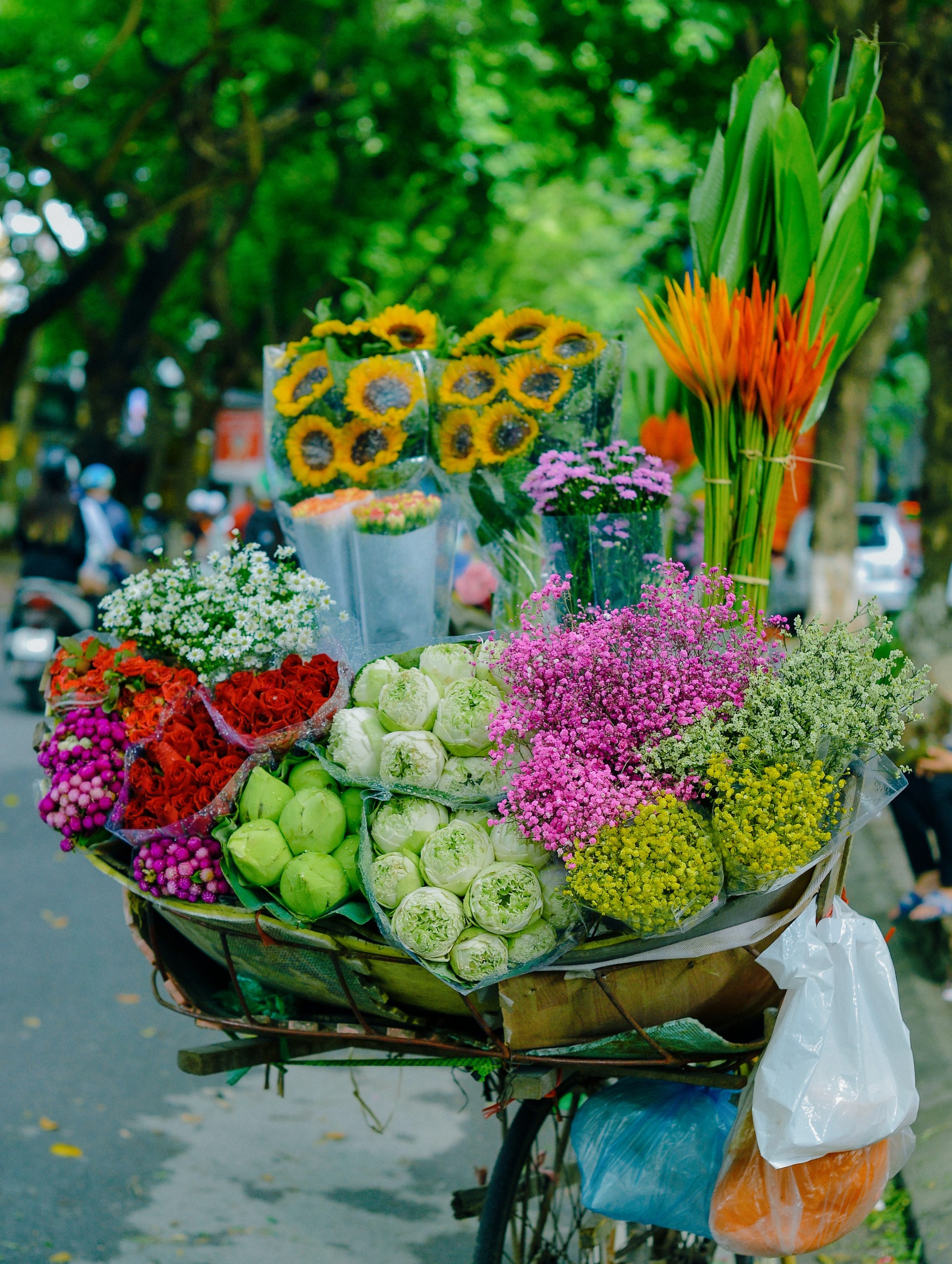 Hà Nội đẹp ngỡ ngàng trên những xe hàng hoa dưới phố Hà Nội đẹp ngỡ ngàng trên những xe hàng hoa dưới phố