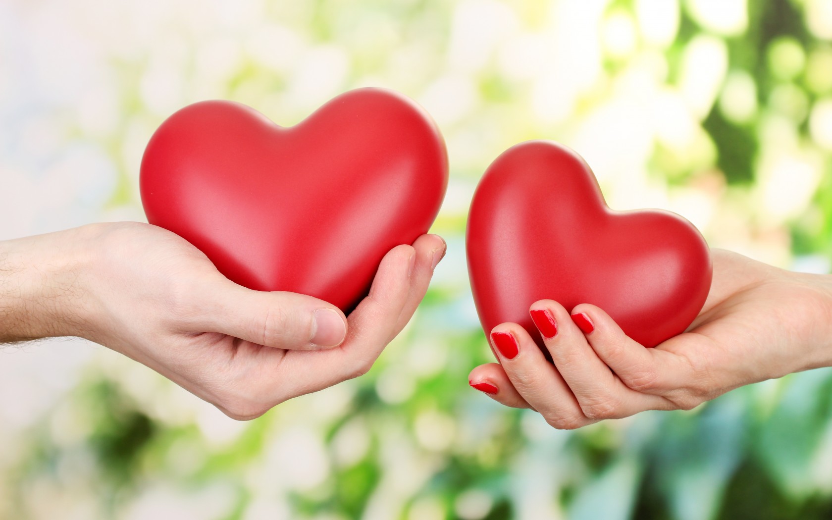 couple hand holding heart-wide