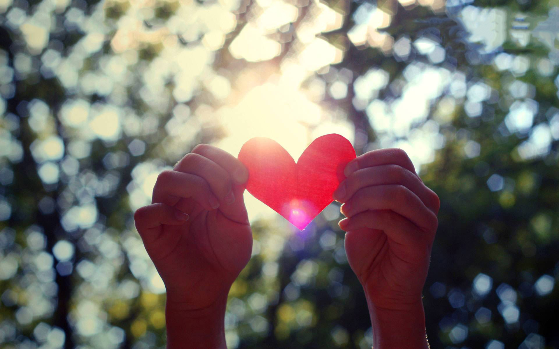 Love-Heart-Hands