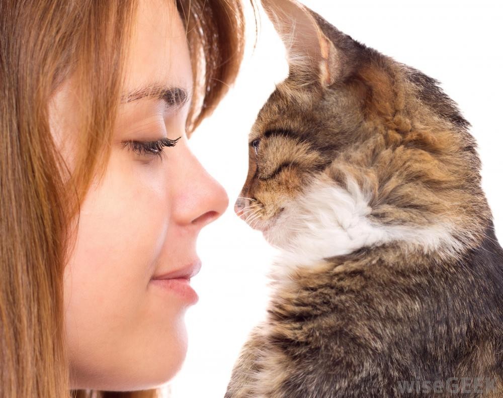 woman-looking-at-her-cat