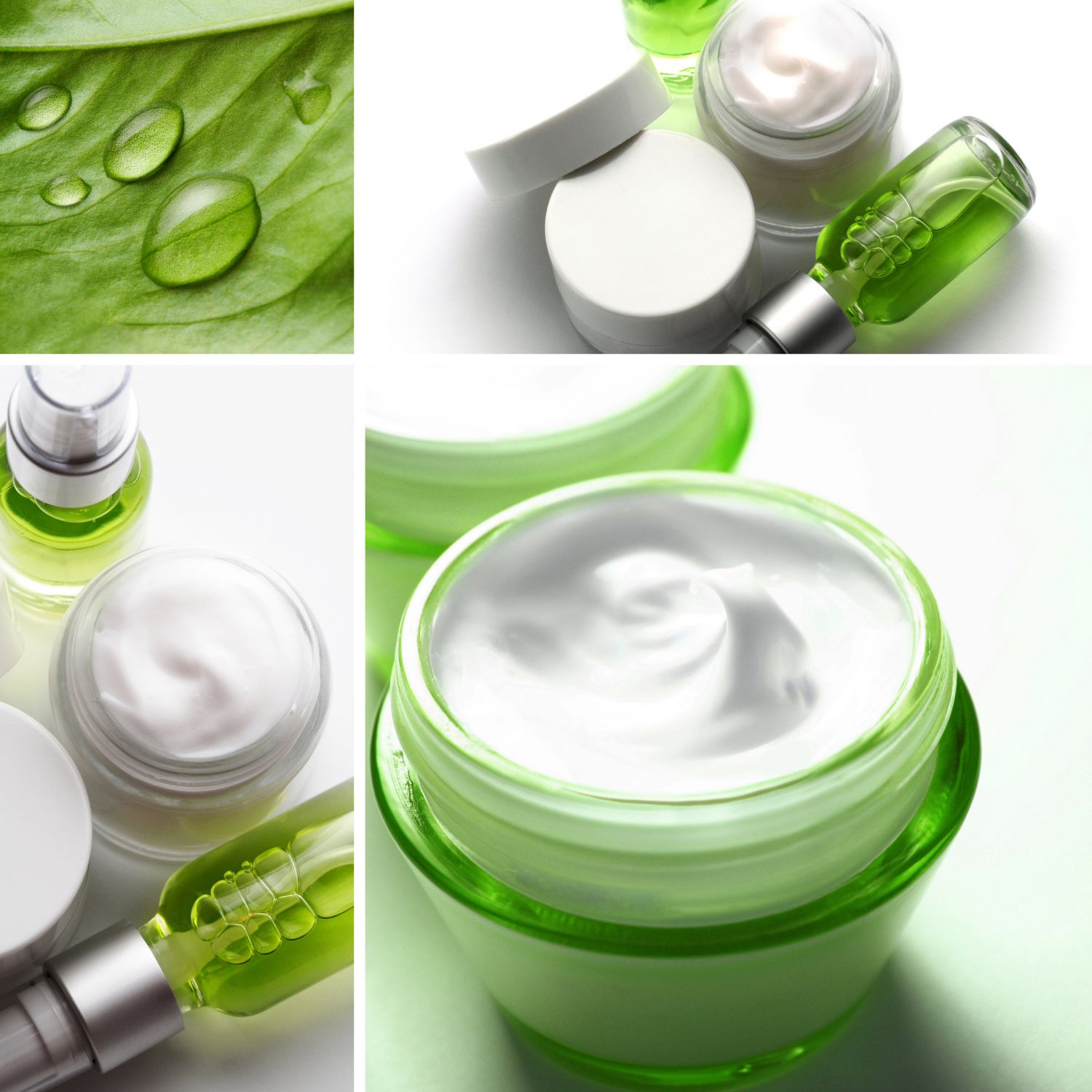 24A17C070D2484EF247324C8350DA38C4357D272D7B2F5ECB8pimgpsh fullsize distr