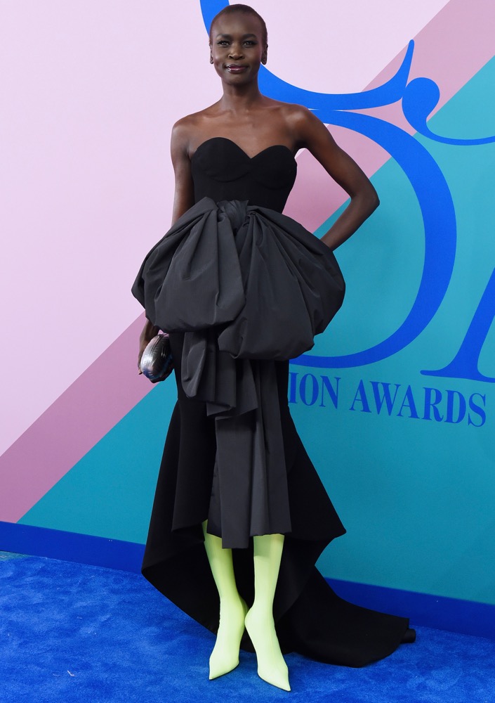 alek-wek-2017cfdafashionawards