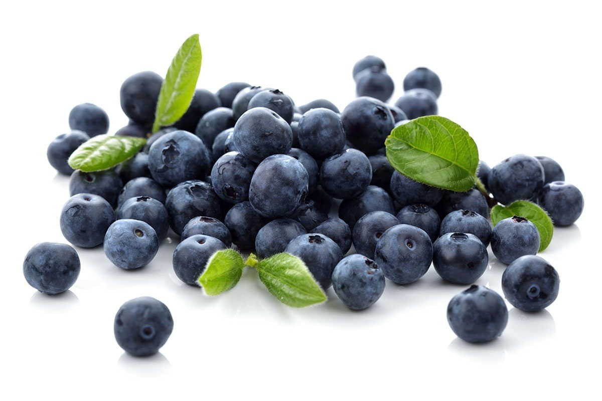 FW-BLUEBERRY-2