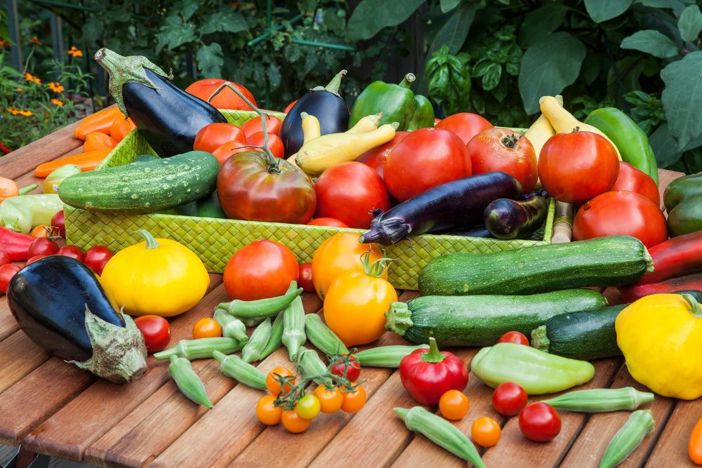 bountiful-summer-vegetable-harvest