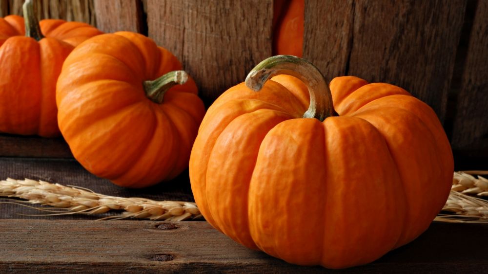 pumpkin-1