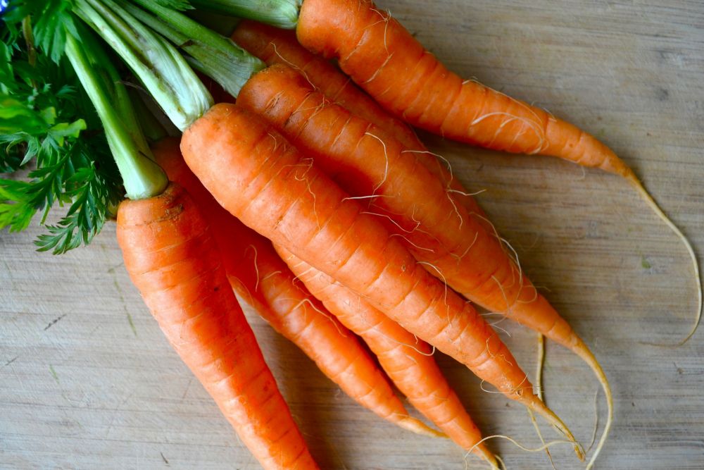 carrots-bunch