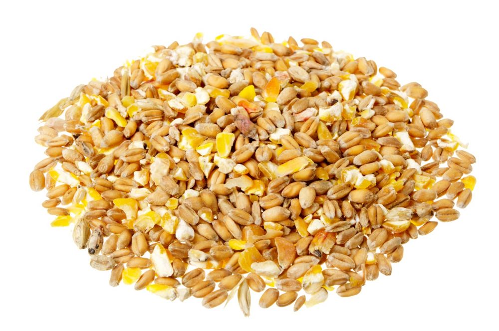 Food-Cereal Grains