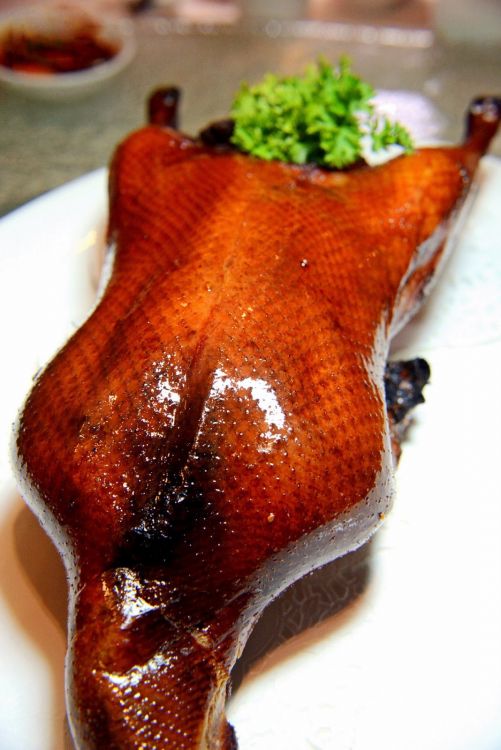 Peking Duck 1