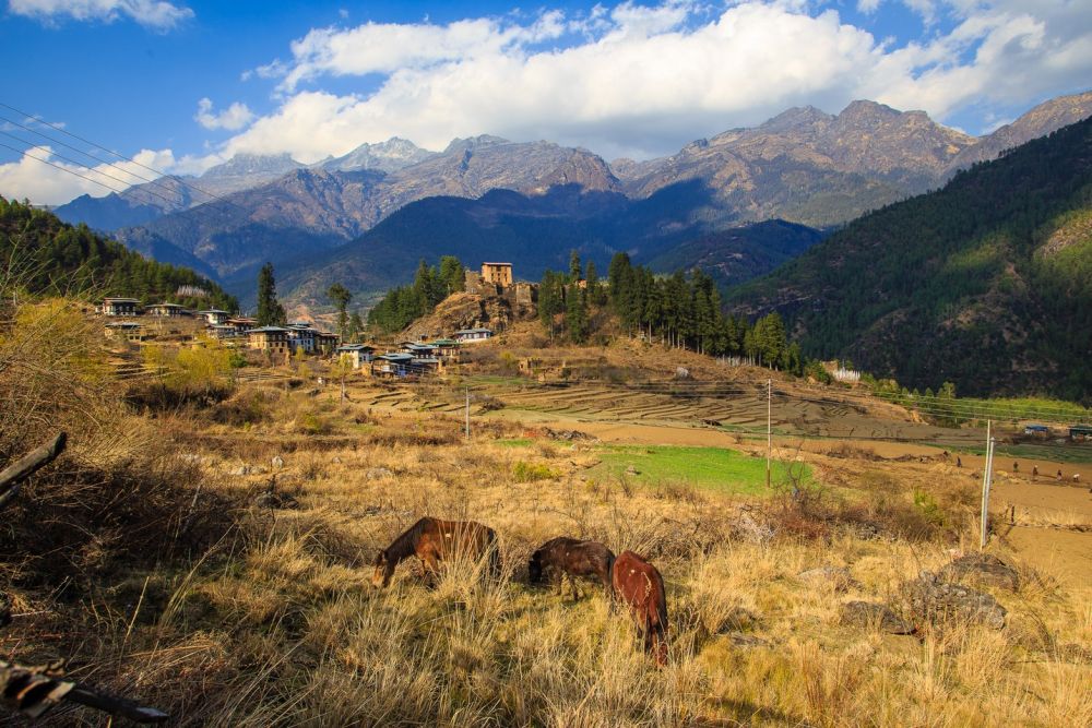 lang Drukyel Dzong o Paro
