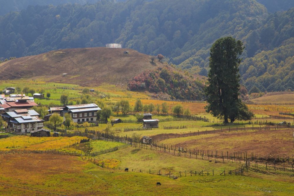 mua thu lang Segor Bhutan