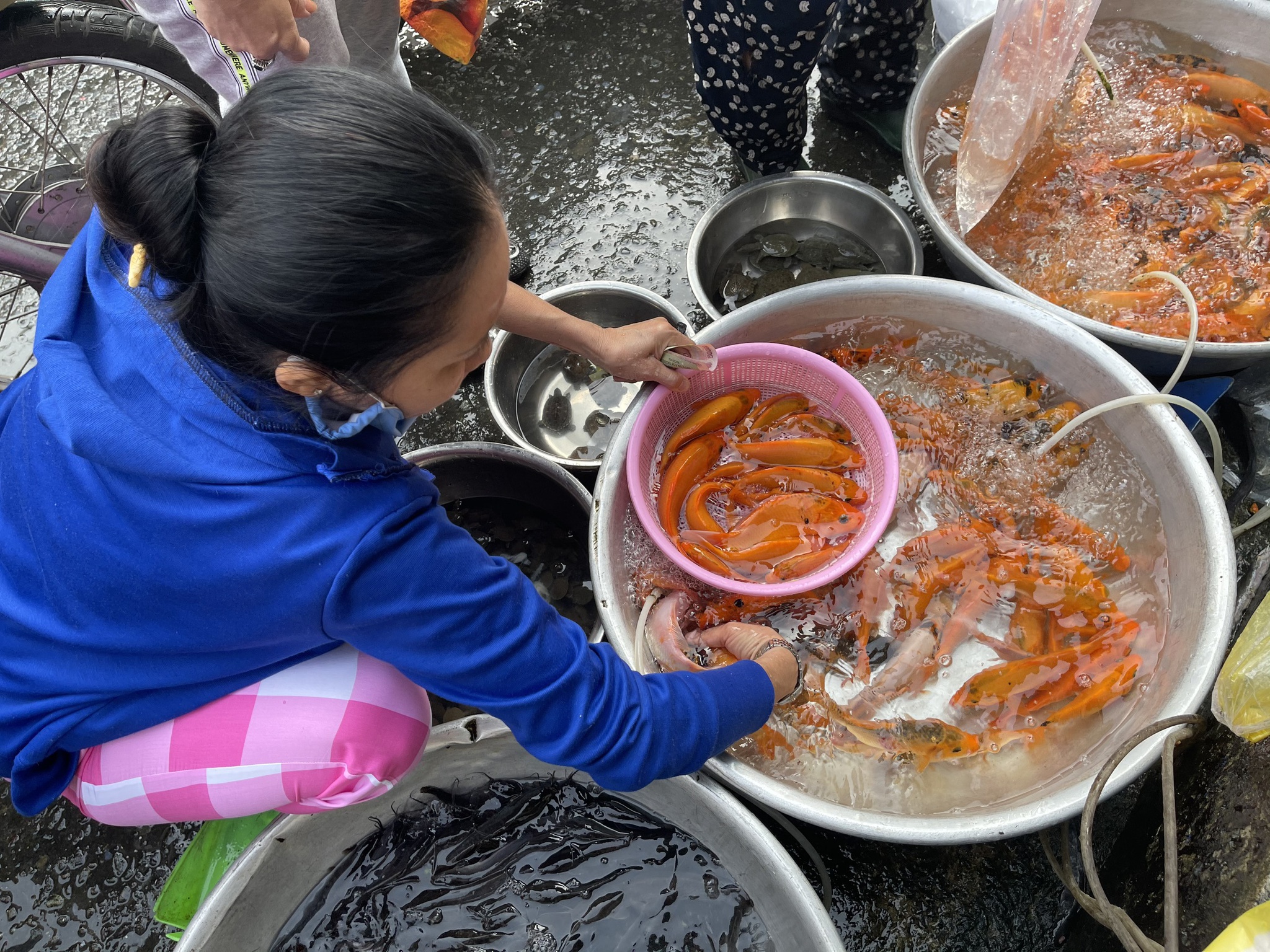 23 tháng Chạp: Cách chuẩn bị mâm cúng đưa ông Táo về trời và ý nghĩa việc này