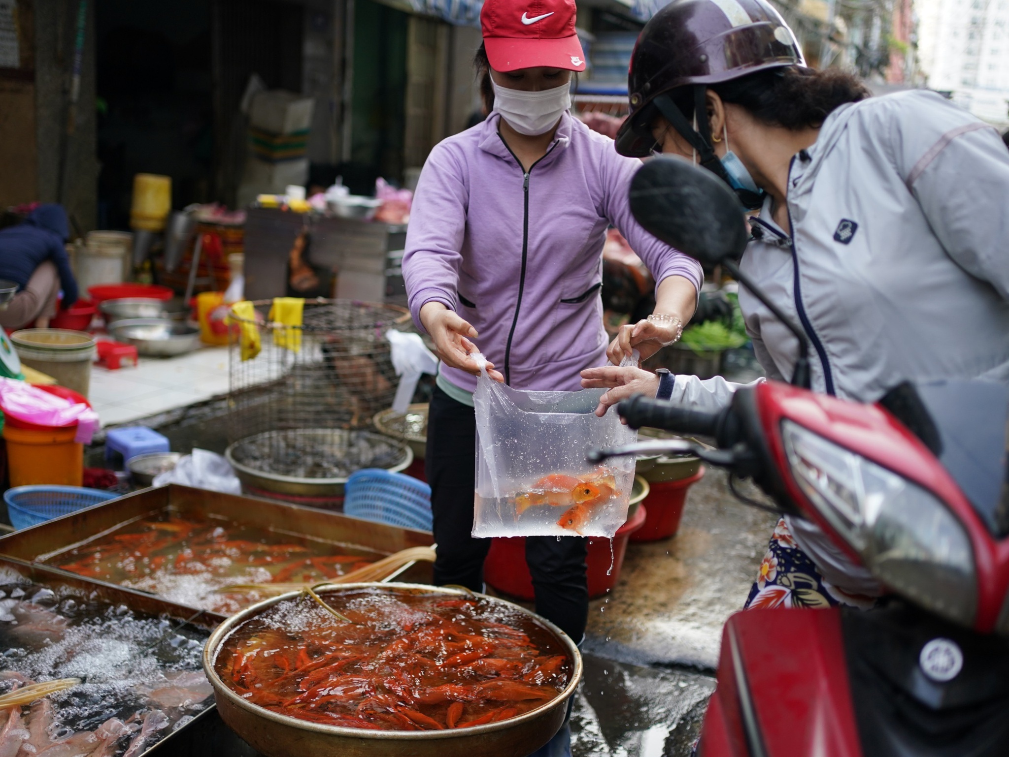 23 tháng chạp: Tục cúng đưa ông Táo về trời của người Việt nguồn gốc từ đâu?