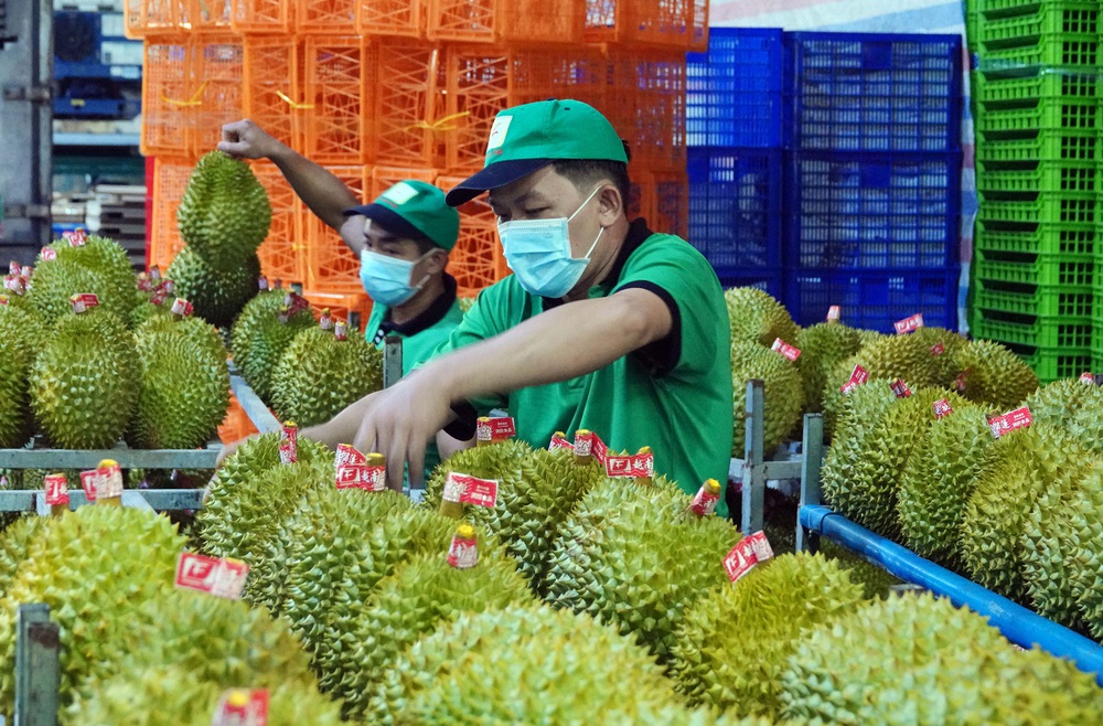 Kinh tế Việt Nam: Hào quang trở lại- Ảnh 11.