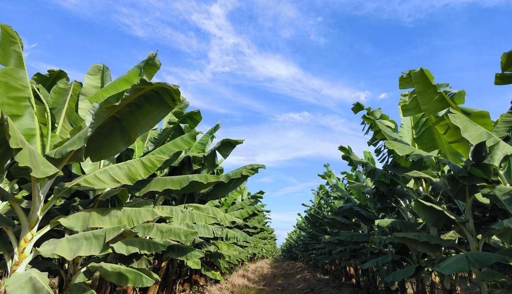 Ng&agrave;y đặc biệt của bầu Đức: H&agrave;nh tr&igrave;nh phục hồi Tập đo&agrave;n Ho&agrave;ng Anh Gia Lai 2026 - Ảnh 9.