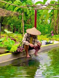 Bỏ phố về quê sau biến cố, chàng trai tạo dựng khu vườn trồng rau nuôi cá