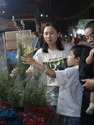 Loại hoa nào giá 200.000 - 250.000 đồng, bán chạy nhất chợ Hồ Thị Kỷ tết này?