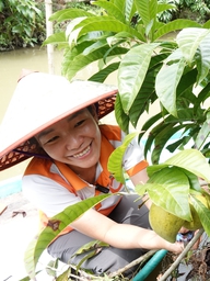 Cô gái miền Tây đưa loại trái bị 'bỏ rơi' thành sản phẩm OCOP 4 sao