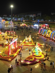 Những đường hoa xuân rực rỡ nhất 'xứ hoa' Đồng Tháp