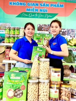 Nhiều mô hình kinh tế hiệu quả của thanh niên