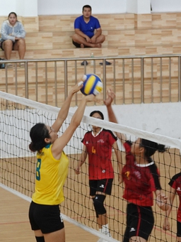 11 đội tham gia giải bóng chuyền các CLB nam, nữ tỉnh Bình Định