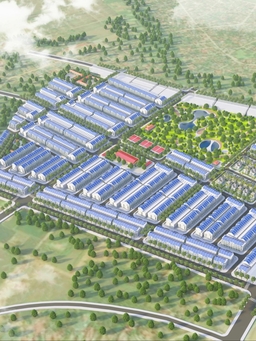 Tập đoàn Sao Mai đầu tư khu đô thị hơn 1.000 tỉ đồng ở Thanh Hóa