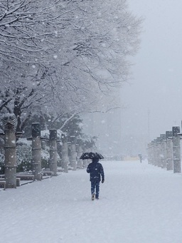 Tuyết rơi nhiều nhất trong hơn 40 năm ở Seoul