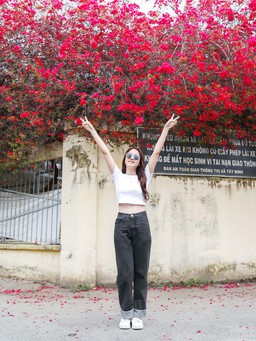 'Check in' giàn hoa giấy trước cổng trường 'hot' nhất Tây Ninh