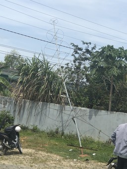 Lâm Đồng: Bị điện giật khi tháo dỡ cây thông Noel, 1 người tử vong