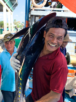 Xuyên tết ở Hoàng Sa, ngư dân Quảng Ngãi trúng đậm cá