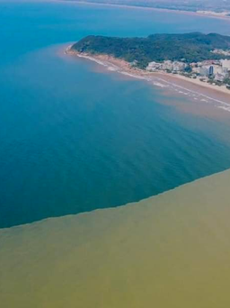 Biển Sầm Sơn bỗng xuất hiện 2 màu nước, vì sao?