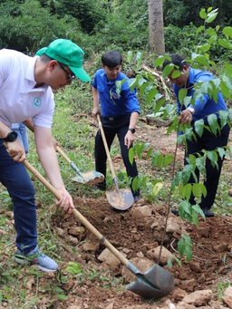 Bí thư T.Ư Đoàn Nguyễn Minh Triết tham gia trồng cây xanh ở Bình Thuận