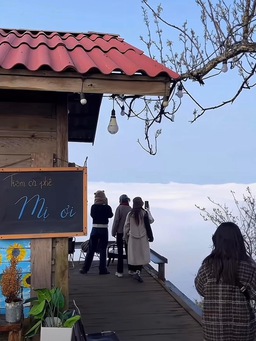 Tiệm cà phê Việt nổi tiếng trên mạng xã hội Trung Quốc vì khung cảnh trên mây