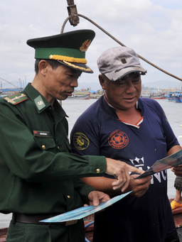 Phú Yên nỗ lực chống khai thác hải sản bất hợp pháp