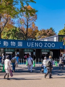 Vườn thú và thủy cung được du khách yêu thích tại Tokyo, Nhật Bản