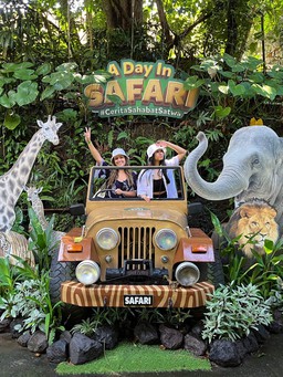 Tham quan những vườn thú được du khách yêu thích khi du lịch Indonesia