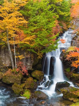 Chiêm ngưỡng 5 thác nước đẹp như tiên cảnh tại Nhật Bản