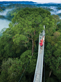 Tham quan công viên, vườn quốc gia ấn tượng của đất nước Đông Nam Á Brunei