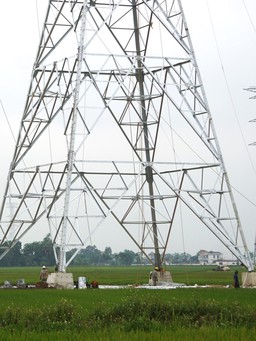 450 đoàn viên Thanh Hóa sẵn sàng hỗ trợ xây dựng đường dây 500 kV mạch 3