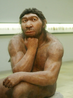 Người Neanderthal và tổ tiên loài người ‘liên hôn’ suốt gần 7.000 năm
