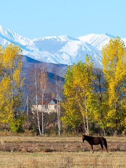 Những khu bảo tồn thiên nhiên và công viên quốc gia tuyệt đẹp tại Kyrgyzstan