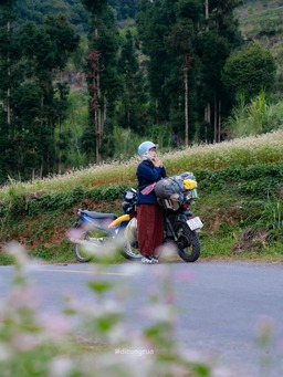 Từ đảo ngọc đến cao nguyên đá, câu chuyện mùa lễ hội cuối năm thú vị