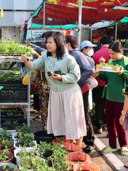 Tại nơi này có tặng cây giống miễn phí, ai cần cứ đến lấy