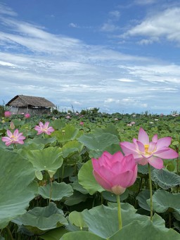 Cô gái miền Tây làm nông trại nghỉ dưỡng thu hút từ 200 - 300 lượt khách/tháng