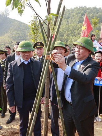 Xây dựng Tuyên Quang là Trung tâm lâm nghiệp ứng dụng công nghệ cao